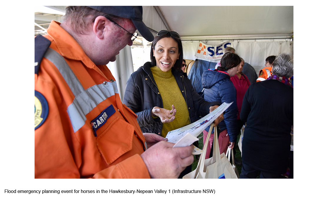 flood-emergency-planning-event-for-horses-in-the-hawkesbury-nepean-valley