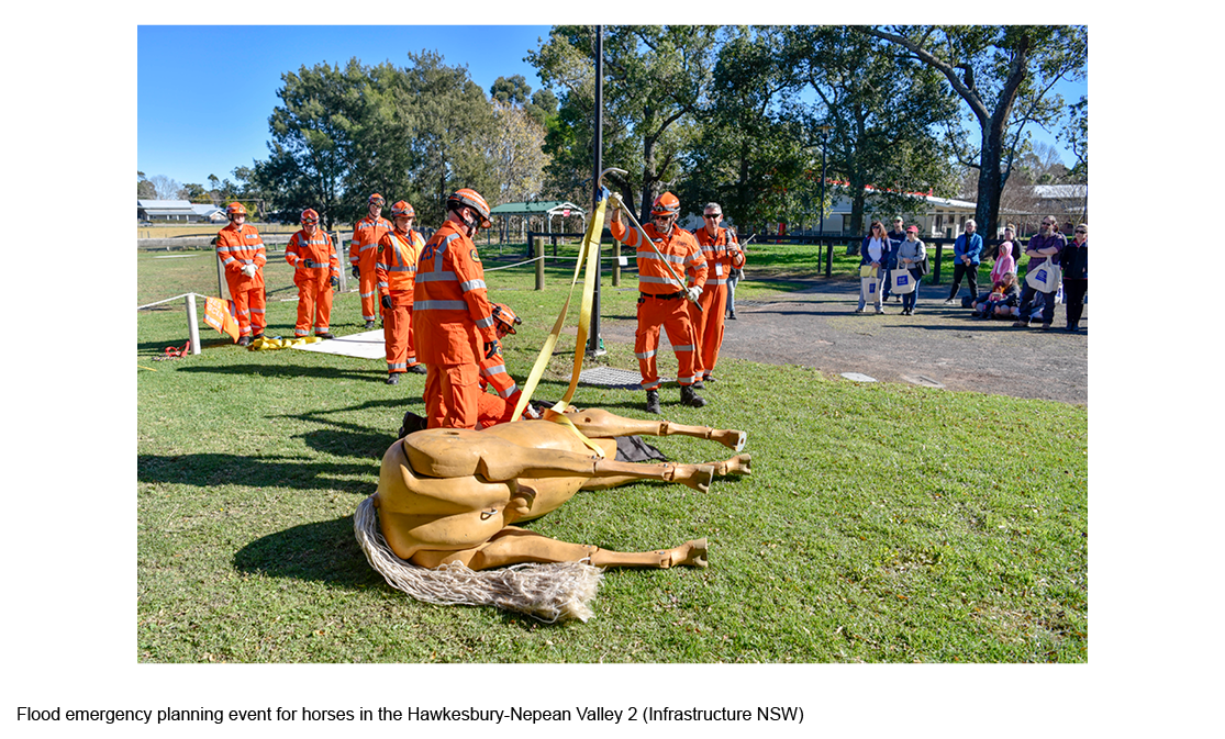 flood-emergency-planning-event-for-horses-in-the-hawkesbury-nepean-valley