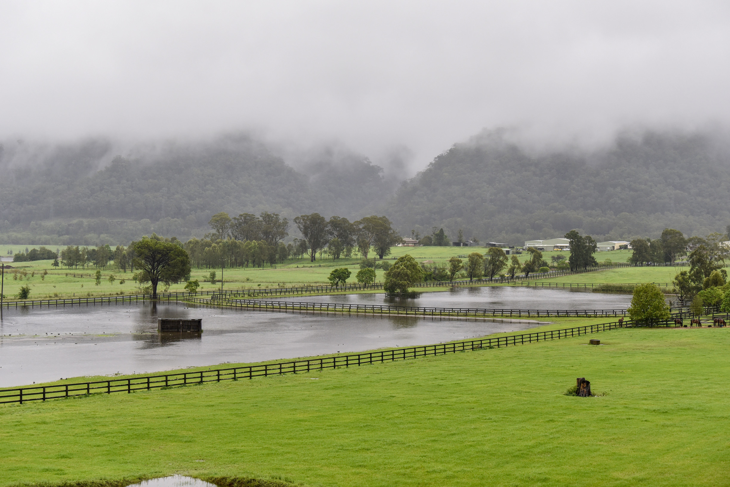 flooded-horse-paddocks-castlereagh-9-february-2020