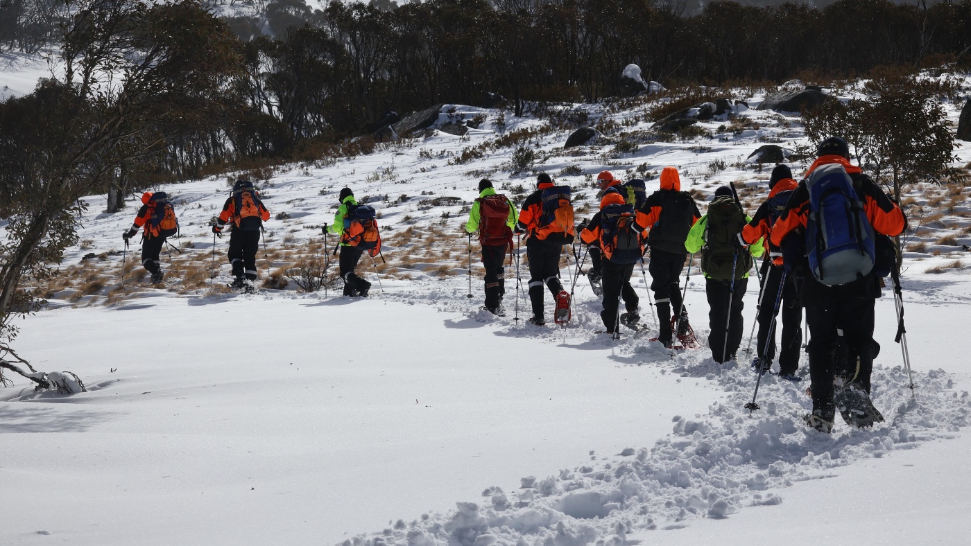 Alpine search and rescue