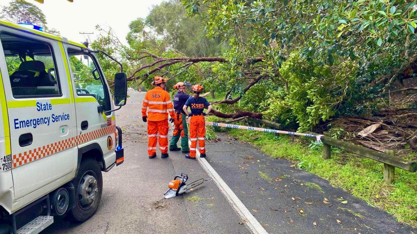 Storm and flood damage volunteer