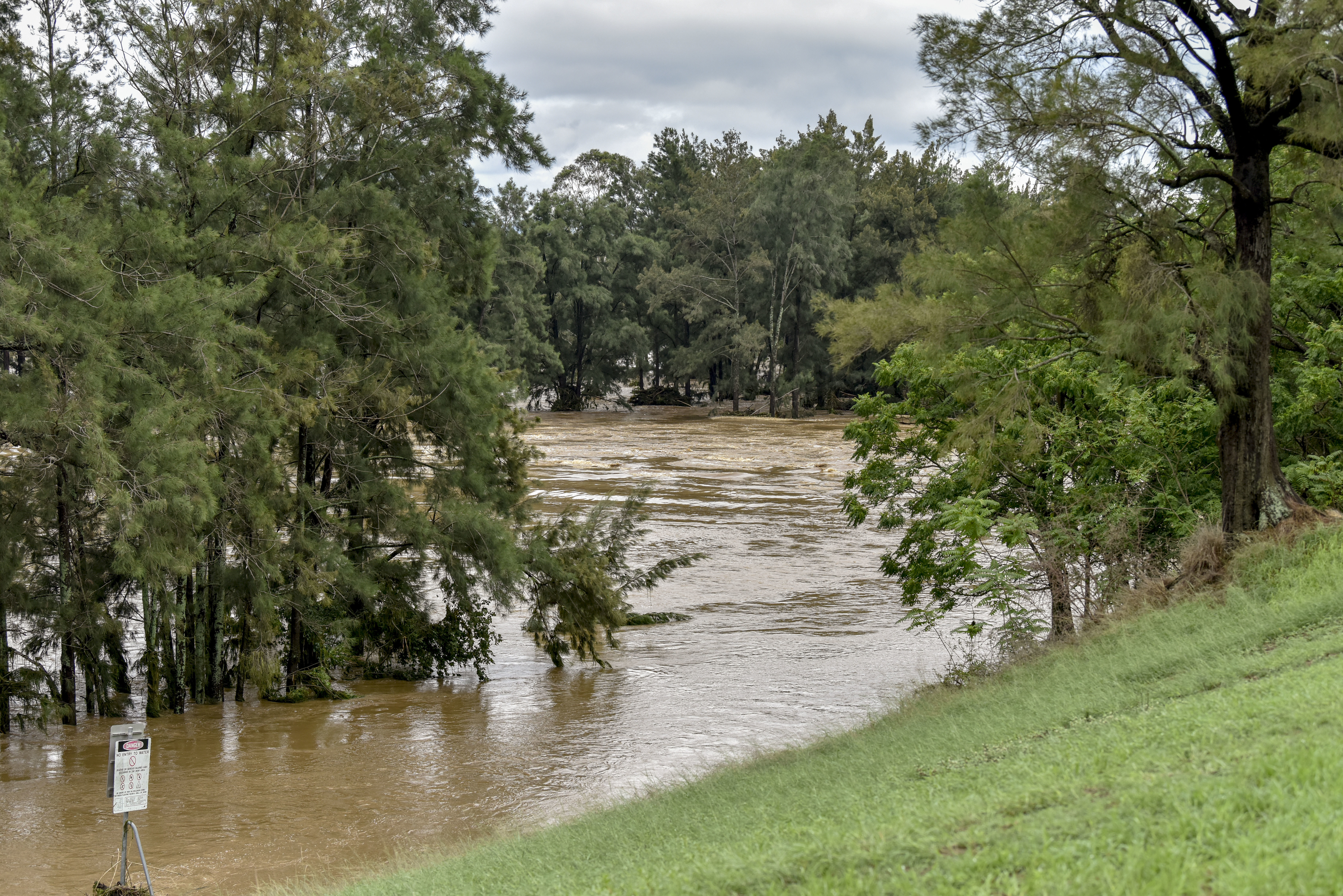 Nepean River near Weir reserve